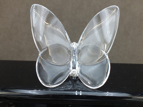 Baccarat beau papillon - beau,